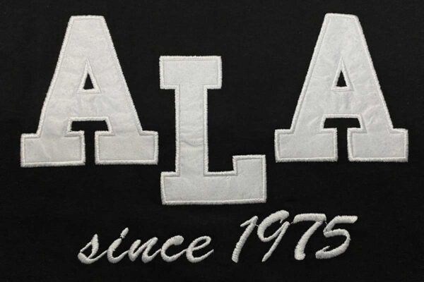 Adana Anadolu Lisesi ALA Hoodie - Görsel 3